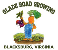 the logo for glade road growing logo featuring a carrot wearing blue jeans overalls and holding up freshly pulled beets, standing in front of low growing crops
